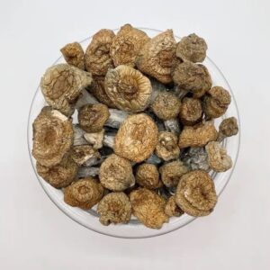 Buy Mushrooms Online Buy Mushrooms Online