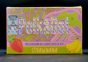 Buy Mushroom Belgian Chocolate (Polkadot)